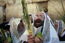 Sukkot (Tabernacles) Guide for the Perplexed,