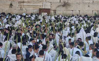 Thousands gather at Western Wall for Hoshana Rabba