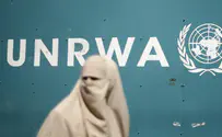 UNRWA suspends service in Lebanon 'refugee camp'