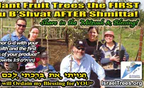 Why this Tu B'Shvat is Special