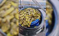 Pickle barrels found packed with generic Viagra capsules