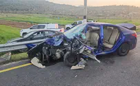 'Arabs surrounded driver who hit me and said 'well done'