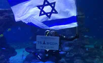 Israeli flag 'flies' in the shark pool in Eilat