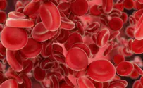Decades-old mystery of red blood cell production finally solved