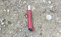 Terrorist tries to stab soldiers and is neutralized