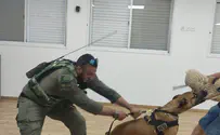 Israel Dog Unit helps Samaria fight terror