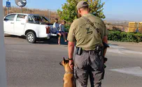 Israel Dog Unit aprehends illegal infiltrators in central Israel