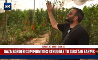 Gaza border communities struggle to sustain farms amid the war