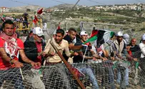 Anarchists will Go Back to Anti-IDF Violence as Tents Fold