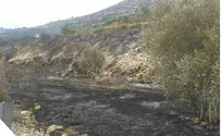 Rosh Hashanah Arab Arson on Towns North of Jerusalem