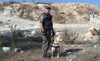 Watch: Canine Unit Thwarts Bomb Attack in Jerusalem