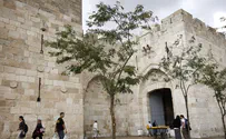Suspects heading to Temple Mount with goats arrested