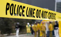 Seven dead in shooting at birthday party in Colorado