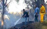 Couple suspected of causing forest fire with improvised BBQ