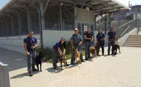 20 new police dogs land in Israel