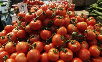 Is IDF eating Hamas-grown tomatoes?