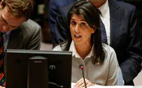 Haley: US not pulling out of Syria until goals achieved
