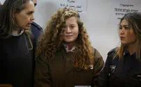 Ahed Tamimi's brother sentenced for stone-throwing