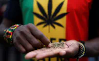 South Africa Highest Court legalizes cannabis use
