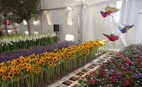 Watch: Sukkot at the 'Israeli Agricultural Park'