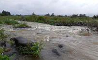 Watch: Northern streams flow briskly en route to Kinneret
