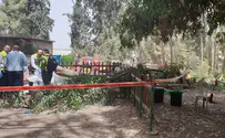 Israeli park where boy was killed by tree branch closed