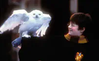 The first ‘Harry Potter’ book is now available in Yiddish