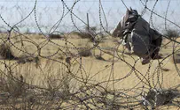 Weapons, drug smuggling attempt thwarted on Israel-Egypt border 