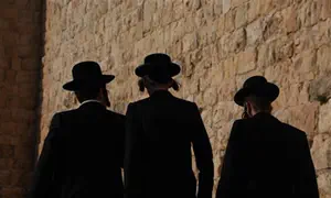 Poll reveals 88 percent of haredim support government