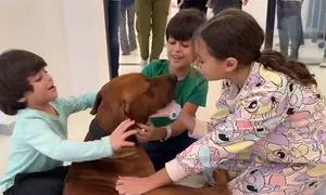 Children released from Hamas captivity meet their family dog