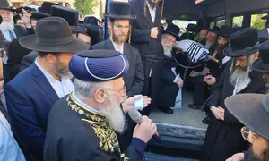 Rabbi Elimelech Wasserman laid to rest