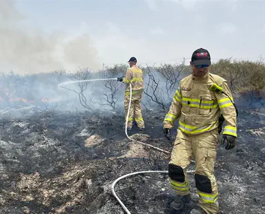 Heat wave brings spate of brushfires throughout Israel