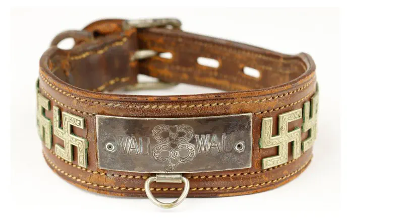 A dog collar said to have belonged to the Scottish terrier of Eva Braun, Hitler's wife