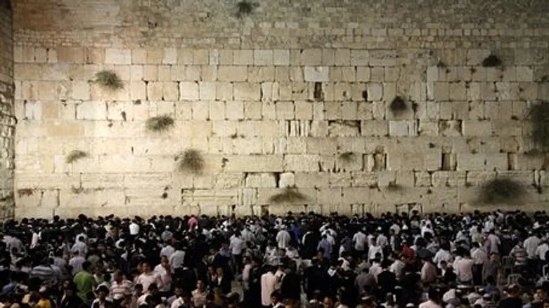 A section of the Jewish People at the Kotel.