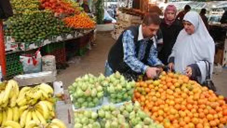 Fruits and vegetables plentiful in Gaza