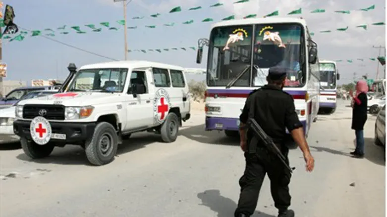Buses preparing to carry terrorist prisoners