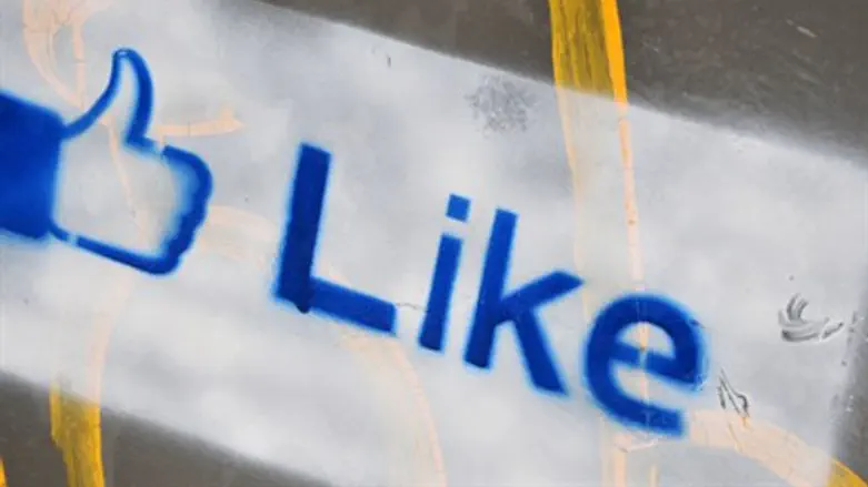 Facebook "like" (illustration)