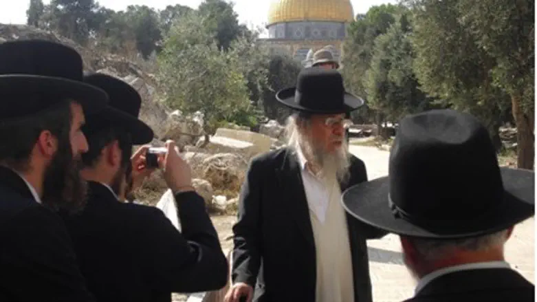 Rabbi Brand and followers on Temple Mount
