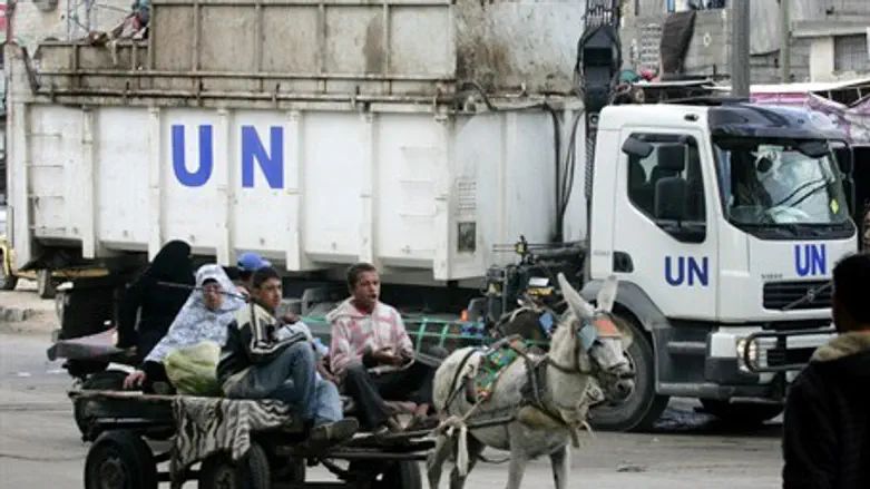 Donkey-drawn cart in Gaza