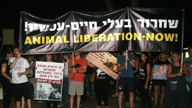 Israeli animal rights activists