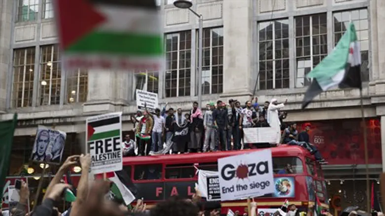 Pro-Palestinian Arab demonstrators protest ag