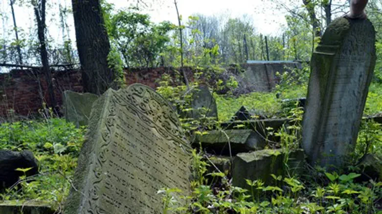 Abandoned Jewish cemetery in Poland