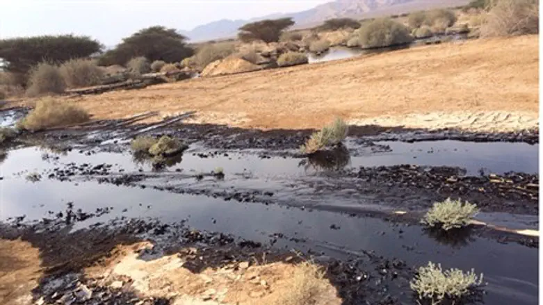 Arava oil spill