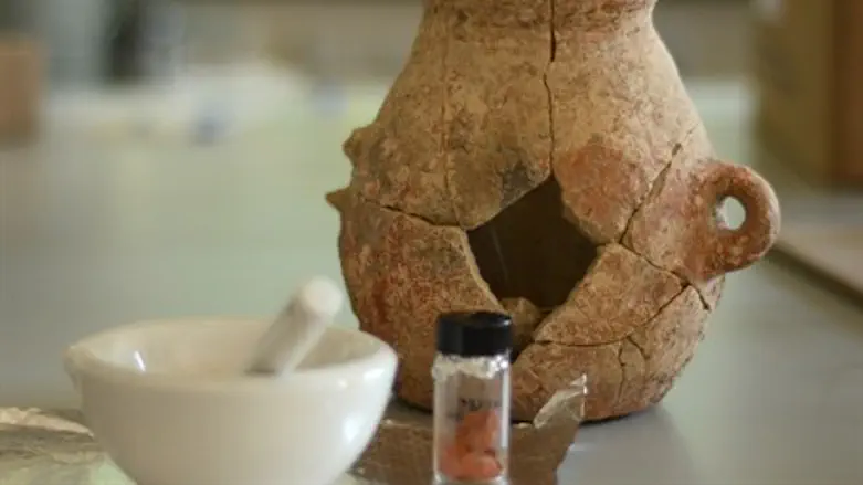 Olive oil jar 8,000 years old