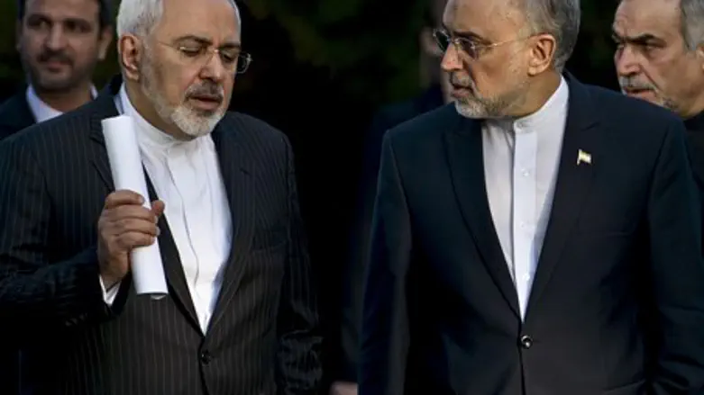 Iran's Javad Zarif, Ali Akbar Salehi