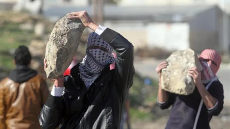 Palestinian Arabs threaten IDF with stones, January 2014