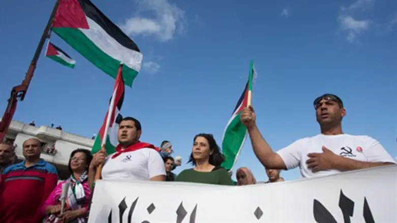 Pro-Palestinian protest, northern Israel (file)