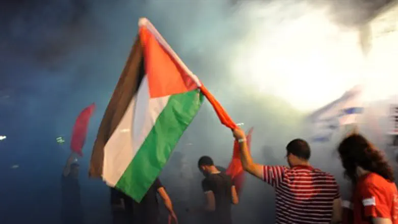Arab protest with PLO flag (file)