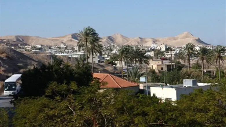 Area near Jericho (illustration)