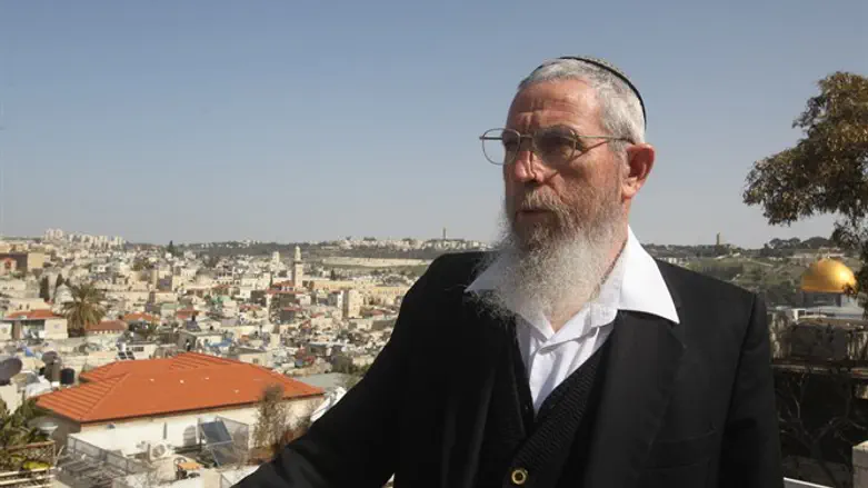 Rabbi Yisrael Ariel